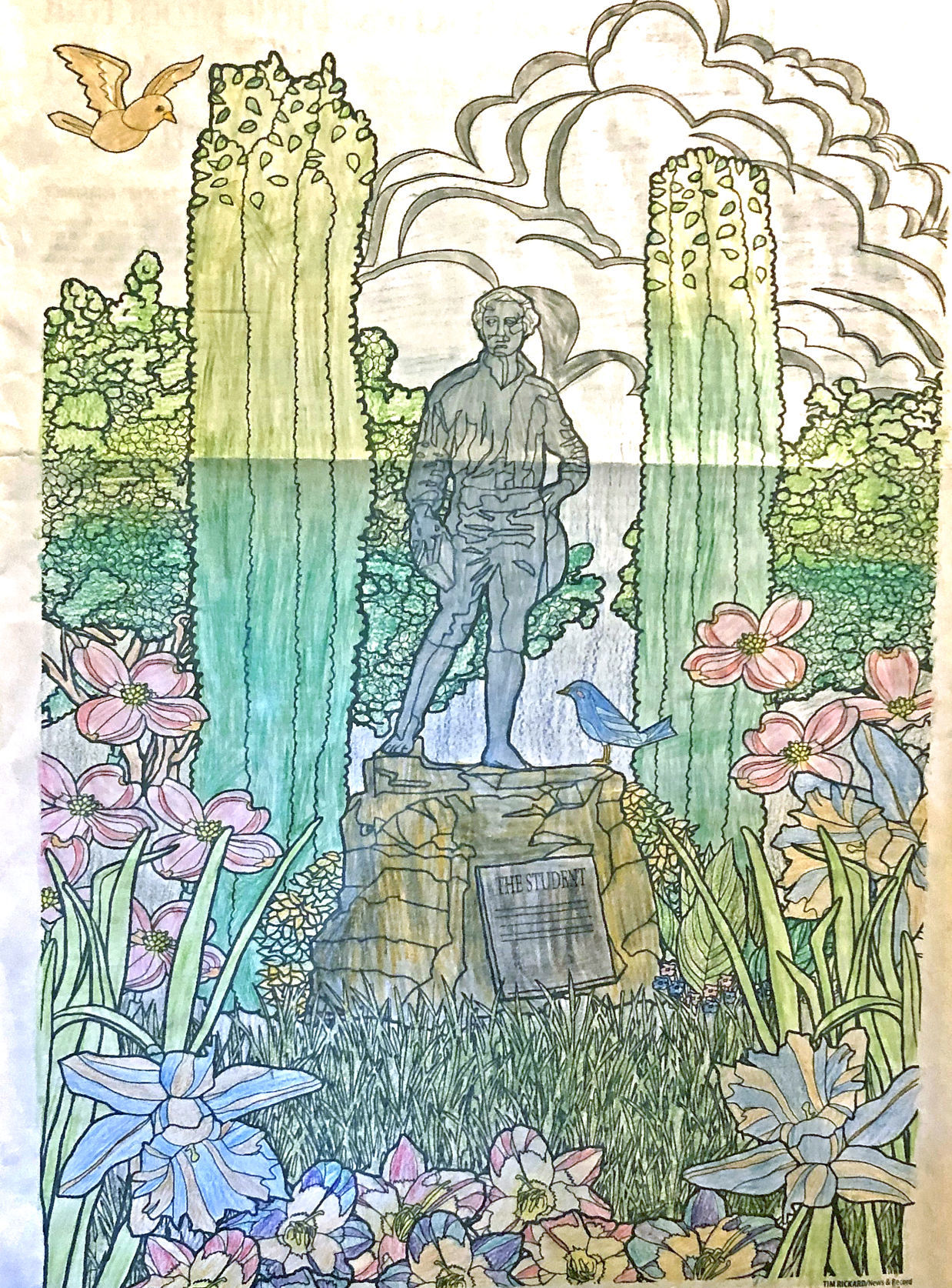 Winter Dixon